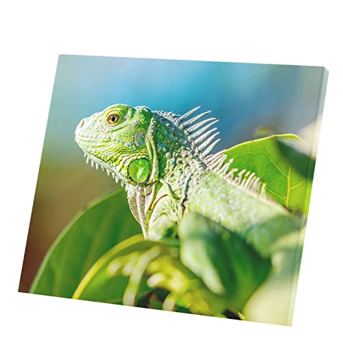 Tableau iguane vert sur sa branche toile imprimée 71x60 cm