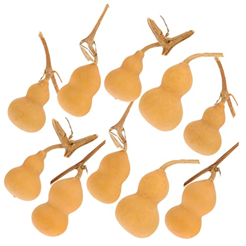 NUOBESTY Zucche Decorative in Vendita Confezione Da 10 Mini Zucche Cinesi Ornamenti in Stile Casuale