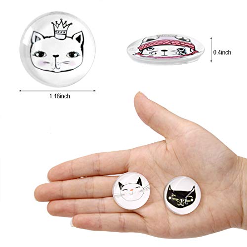 (Update) Cosylove 16Pcs Cute Cat Refrigerator Magnets, Crystal Glass Fridge Magnets For Office Cabinets, Whiteboards, Photos, Decorative Magnets #TOP3