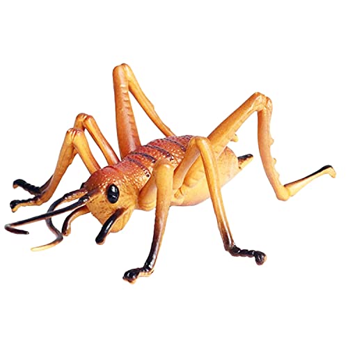 Flormoon Realistic Animal Figures Cricket Figurines Insect Toy, Science Project, Cake Topper, Early Educational Toys Birthday For Toddlers Kids Age 3 4 5 #TOP4