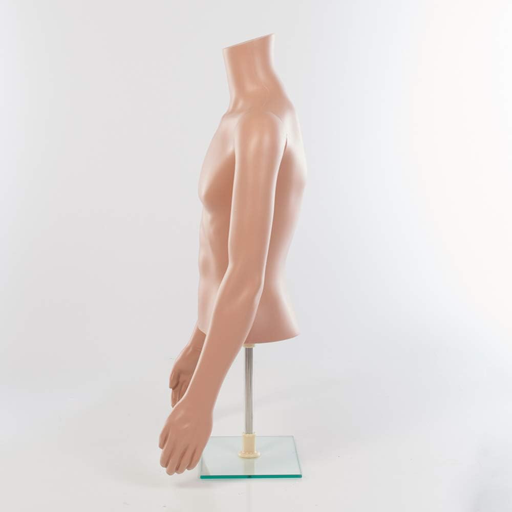 SSWBasics Male Plastic Half Body Mannequin Torso (Chest 36", Waist 30")