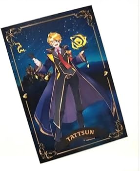 Amazon.co.jp: たっつん（等身） からぴち トレーディングカード 魔法