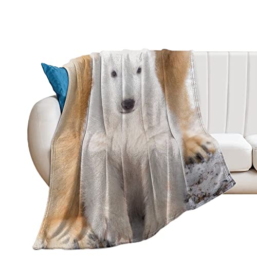 Couverture en flanelle super douce et chaude pour lit en peluche - 2