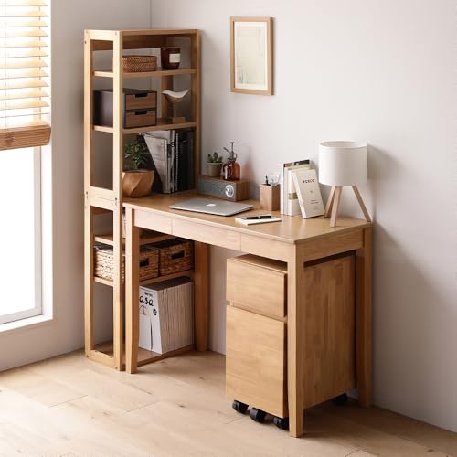 RASIK fXN 3_Zbg (fXN 100cm+bN+Lrlbg) i` VR p\R ׋ o [ qlg Keiju PC