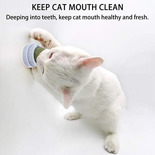 Balacoo Bola de Erva de Gato 2 peças Rotativa para Montagem de Parede Catnip Ball Brinquedos Interat