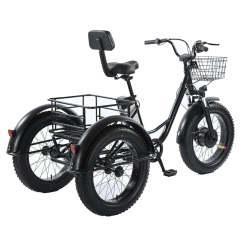 Triciclo elettrico per adulti, adatto a ragazzi e adulti, 500W 48V, 20" Fat Tire, 3 ruote, con batteria rimovibile e kit di attrezzi, adatto a tutti i terreni.