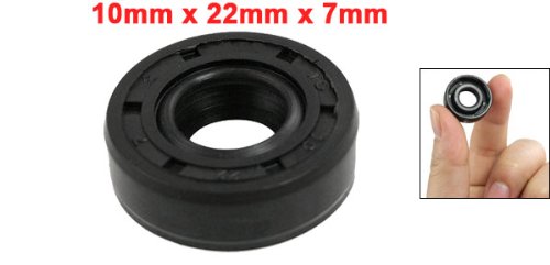 EAI 22mm X 36mm X 10mm FPM/FKM Double Lip Oil Seal With Stainless Steel Spring - View #7