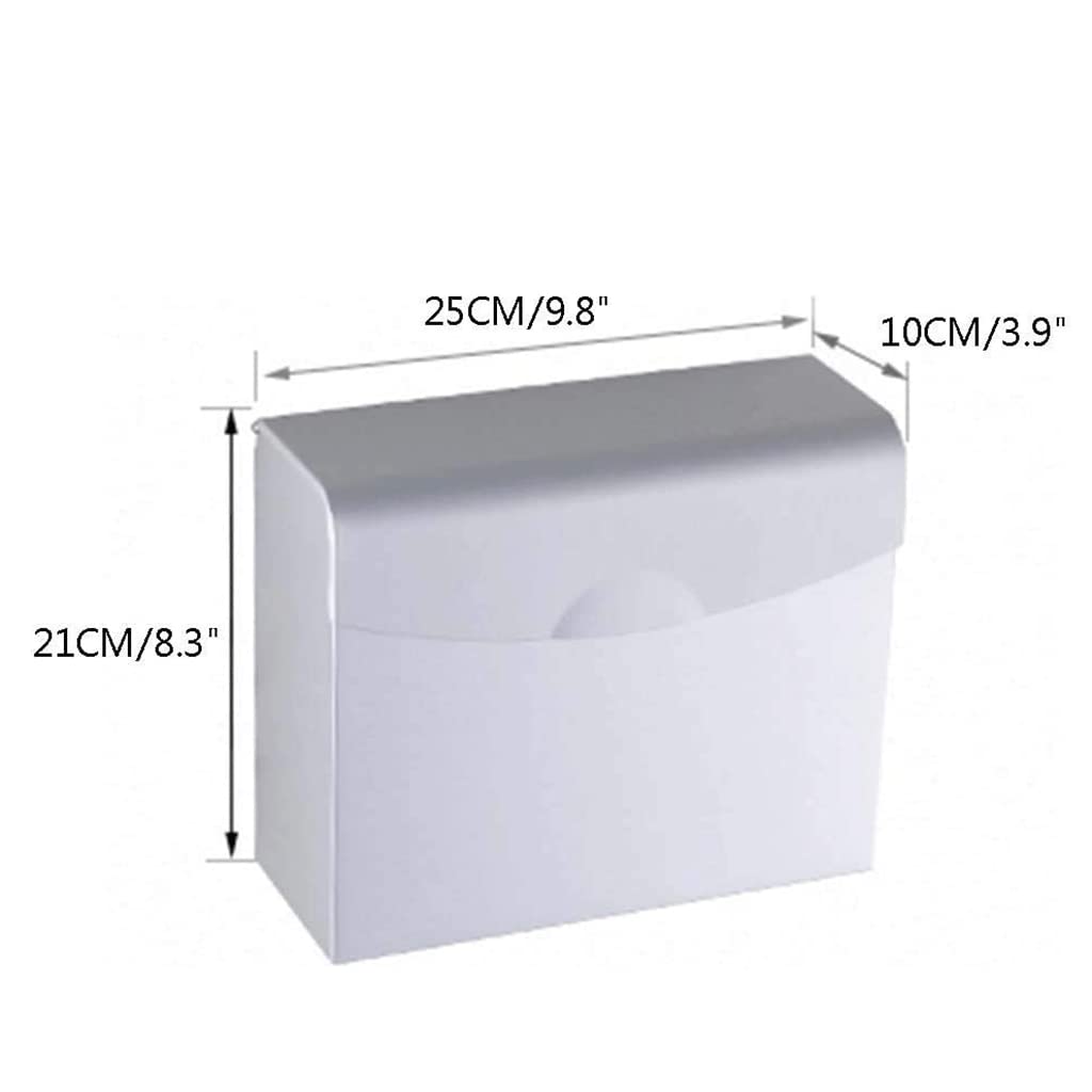 BKEKM Toallas Despachador Dispensador de Toallas de Papel montado en la Pared Dispensador de Toallas de Mano de Acero Inoxidable Perforación Gratis Soportes de Toallas de Papel para el hogar práctico