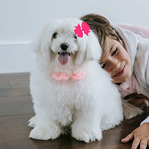 Petunny Large Dog Hair Bows Clips,50Pcs Solid Color Dog Gromming Bows Grosgrain Ribbon Pet Hair Bows Alligator Clips For Wedding Halloween Thanksgiving Handmade Dog Hair Accessories(Random Color) #TOP5