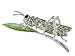 Alilang Synthetic Peridot Green Rhinestone Crystal Insect Grasshopper Locust Leaf Big Pin Brooch