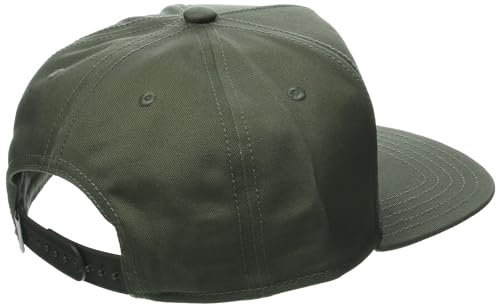 Image of Dickies Mens Dickies Skateboarding Mid Pro Cap