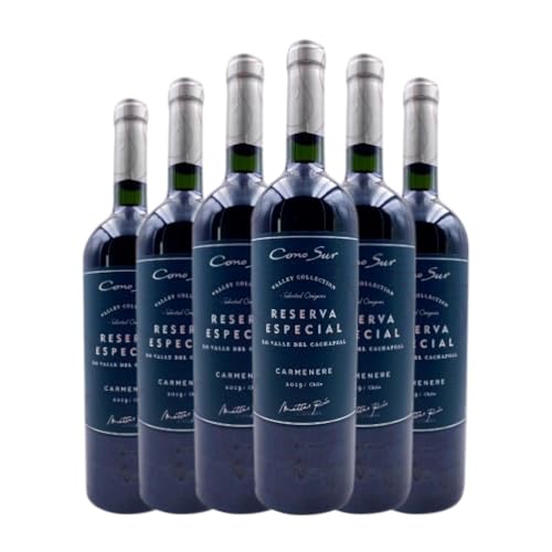 Vino Tinto Cono Sur Especial Valle del Cachapoal – Caja de 6 Botellas 75 cl Vino Tinto Cono Sur Especial Valle del Cachapoal – Caja de 6 Botellas 75 cl