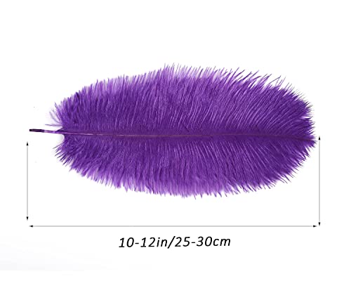 Hollosport 30 Pcs Ostrich Feathers,Bulk Soft Natural Feathers For Crafts Centerpieces Party Wedding Home Decorations Dream Catchers Vases (Purple 10-12 Inch) #TOP1