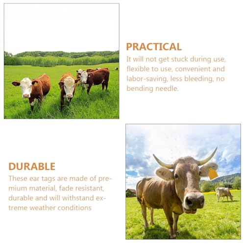 Étiquettes Oreille de Bétail en Tpu Supérieur Identification Animaux Ferme - 7
