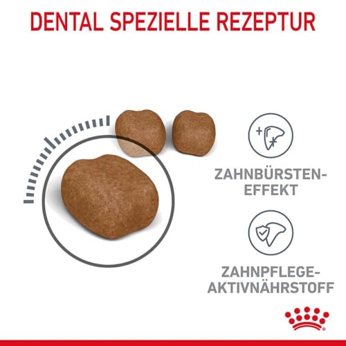 ROYAL CANIN Dental Care Katzentrockennahrung – 2 x 0.4 kg