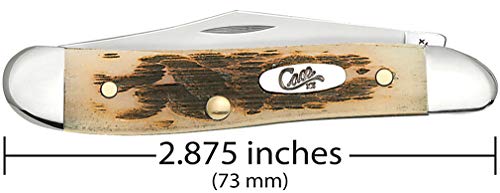 Image of Case XX WR Pocket Knife Amber Bone Peanut Item #045 - (6220 SS) - Length Closed: 2 7 /8 Inches