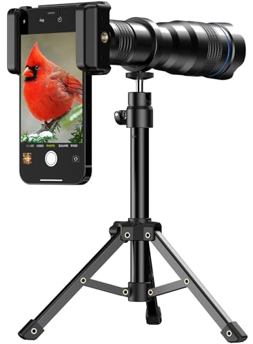 Can you use sigma lenses on canon cameras