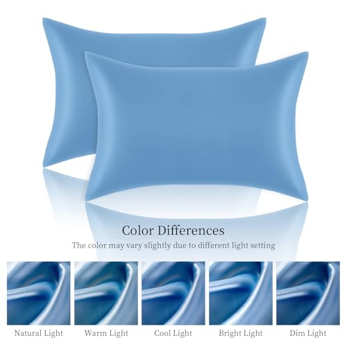 Satin Pillowcases Standard Set of 2 - Silk Soft Pillow Cases for Hair and Skin 20x26 inches,Blue Satin Pillow Covers 2 Pack with Envelope Closure for Home,School, Hotel