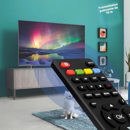 Compatible avec Les appareils Echosat HD-Line Leyf Bamof Tevsan, Télécommande d'origine Echosat – vue 8