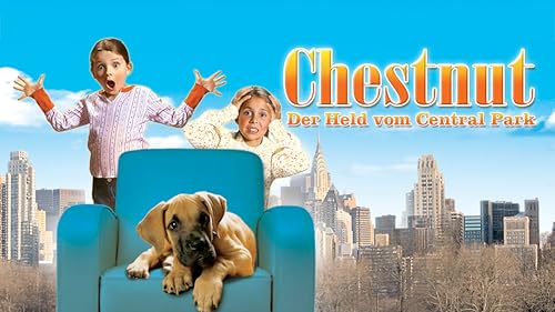 Chestnut: Der Held vom Central Park