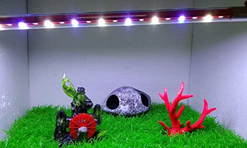 Image of SANSEFERO T4 Series Colour Changing Submersible Aquarium Fish Tank LED Light (T4-600Lc | 4W | 2.5 Feet Tank) (White,Blue,Green,Red)