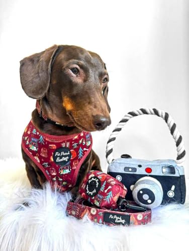 Great Adventure Dog Collar XS, Red, extra small - Image 3