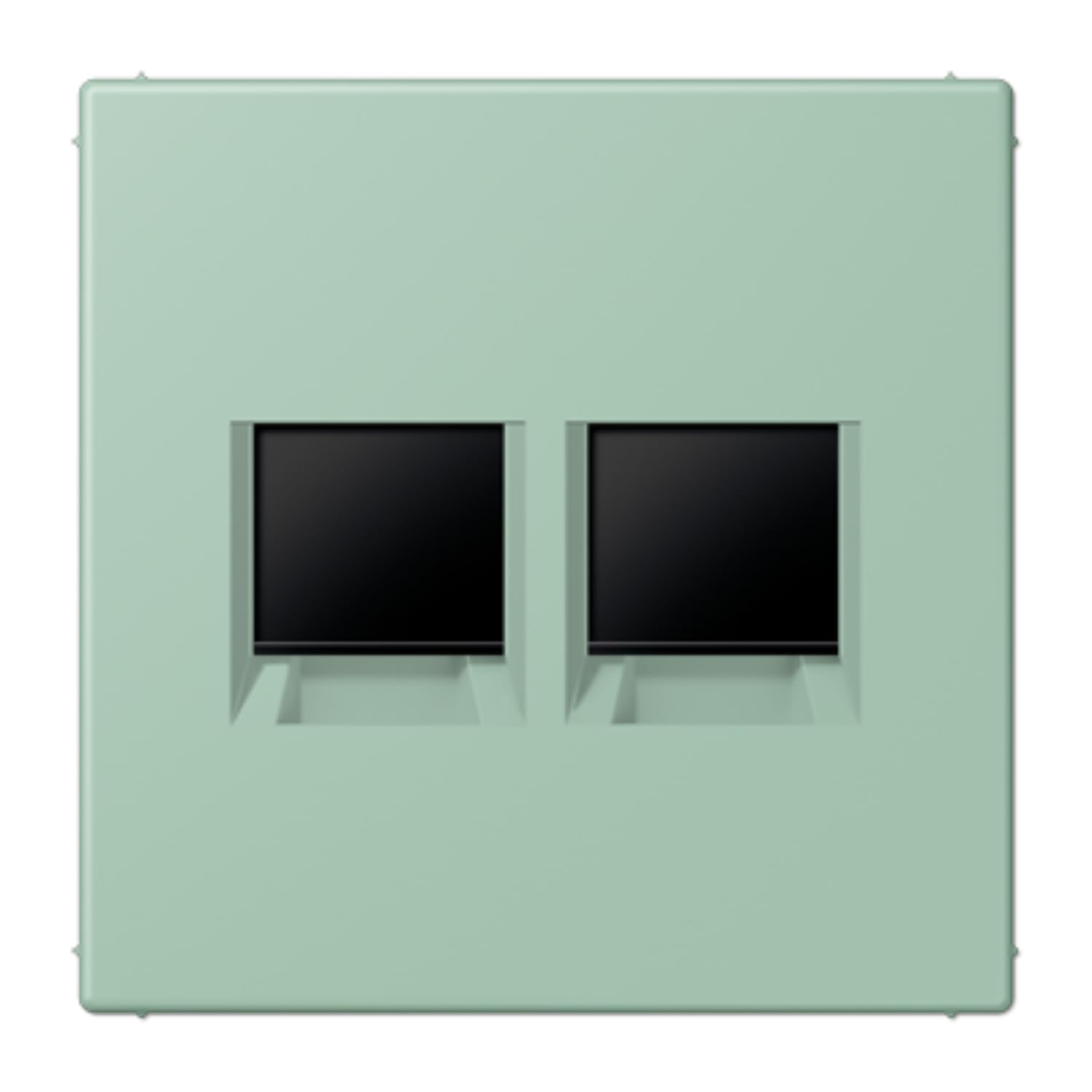 Plaque modulaire Jack-Rad JUNG LC1969-2WE217 avec 2 prises LC32041 pour intégration murale