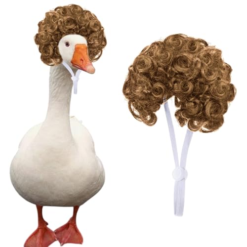 킢 ʔ uE rbOO[X J[[wA wbhEBbO `bN nX^[ EBbO |[` O[XEBbO Ő  O ybgANZT[ nEB NX}X CutFXeBo p[eB[