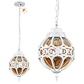 Flybling Dusk to Dawn Globe Outdoor Pendant Lights,Vintage Exterior Hanging Pendant Light Fixtures with Adjustable Chain, Aluminum White Outdoor Chandelier for Porch, Gazebo,with Sensor,Large