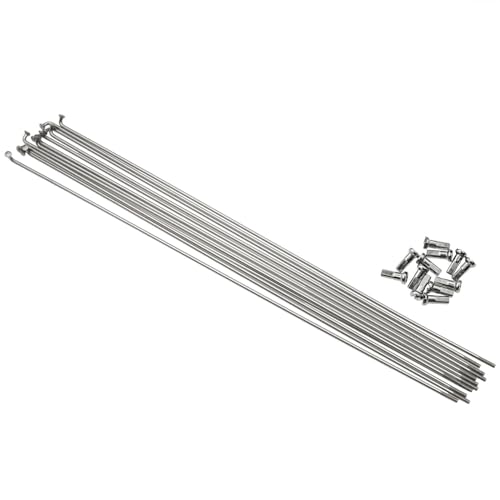 safycaby 12 PCS Steel Spokes Silver 304 Stainless Steel Spokes 260mm/10.2inch 14G Bicycle Stainless Steel Spokes with 12 mm Spoke Connector