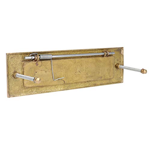 SKANDH Brass Yellow Polished Outer Size 10" X 3" Inches Inner Size 7-7/16" X 1-1/2" Inches Letter Plate Mail Slot For Front Door, Polished Brass Lacquered