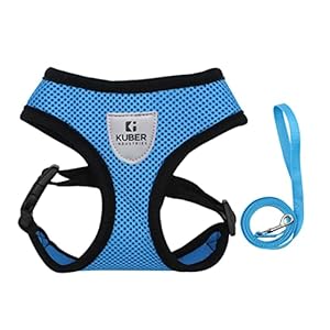 Kuber Industries Small Dog/Cat Chest Harness with Nylon Leash I No Pull, Soft Padded and Breathable Pet Vest I Adjustable, Reflective I Easy Control Pet Chest Belt I (XX-Small,Blue)