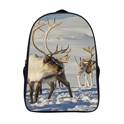 Sac à dos de voyage robuste 40x28x16cm contre le désordre