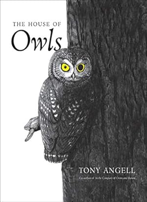 The House of Owls: Democracy and the Armed Society