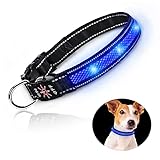 【Alta calidad】 El uso de una cuerda de nailon resistente y duradera, accesorios de plástico y metal de alta calidad y luces LED de alto brillo le brindan una experiencia perfecta