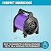 GustyAir Mini Dog Blow Dryer - Professional, Commercial Grade Force Dryer for Groomers - Quiet, High Velocity Air Dryer, Hose Attachments, Variable Speed, No Heating Element - USA Company - Black