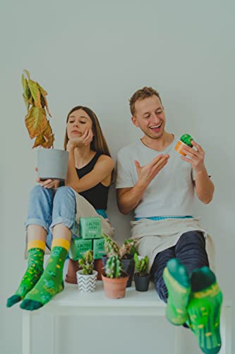 Rainbow Socks - Cactus Box Socks - Ein Kaktus in Einem Blumentopf – Damen Herren Grüne Kaktussocken - 1 Paar - Größen 36-40