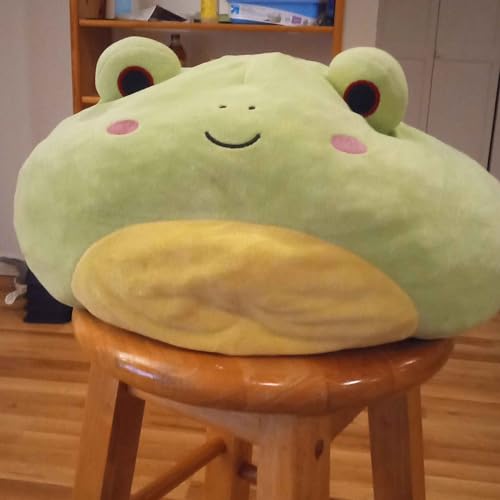 The Frogcord Podcast cover art