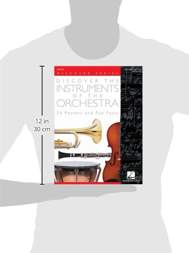 Discover the Instruments of the Orchestra Poster Pack | Music Classroom Resource for Students and Teachers | 24 Orchestra Instrument Posters Covering Strings, Woodwinds, Brass, Percussion image 3