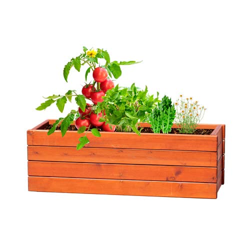 DISOK - Lote de 10 Kits Kit huerto con 4 bolas semillas diferentes. Detalles de semillas de flores para bodas, bautizos y comuniones.