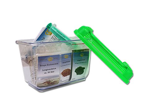 Triops King - Dein Shop für Urzeitkrebse | Großaitingen
