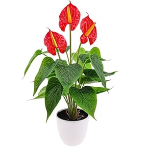 Folmywy Artificial Flower Plants 38cm Faux Simulation Anthurium Red in Plastic Pot Realistic Green Leaves Flowers Bonsai Living Room Bedroom Balcony Indoor Home Decor