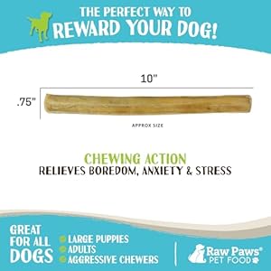 Raw Paws 10-inch Compressed Rawhide Sticks for Dogs, 10-ct - Pressed Rawhide Chews for Large Dogs & Medium Dogs - Safe Hide Rolls - Natural Rawhide Dog Chew Long Lasting for Aggressive Chewers Raw Paws 10 inch Compressed Rawhide Sticks for Dogs 10 ct Pressed Rawhide Chews for Large Dogs Medium Dogs Safe Hide Rolls Natural Rawhide Dog Chew Long Lasting for Aggressive Chewers