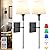 Wall Light Battery Operated Sconce Set Of 2?not Hardwired Fixture,Battery Powered Wall Sconce With Remote Dimmable Light Bulb,Easy To Install Not Wires,for Bedroom, Lounge, Farmhouse ( Color : Black )