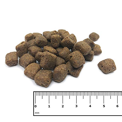 ICEPAW United Pure Trockenfutter für Hunde, 1 Beutel (14 kg)