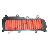  Filtro de Aire Kymco People GTI 125/200/300 del 2010 al 2013