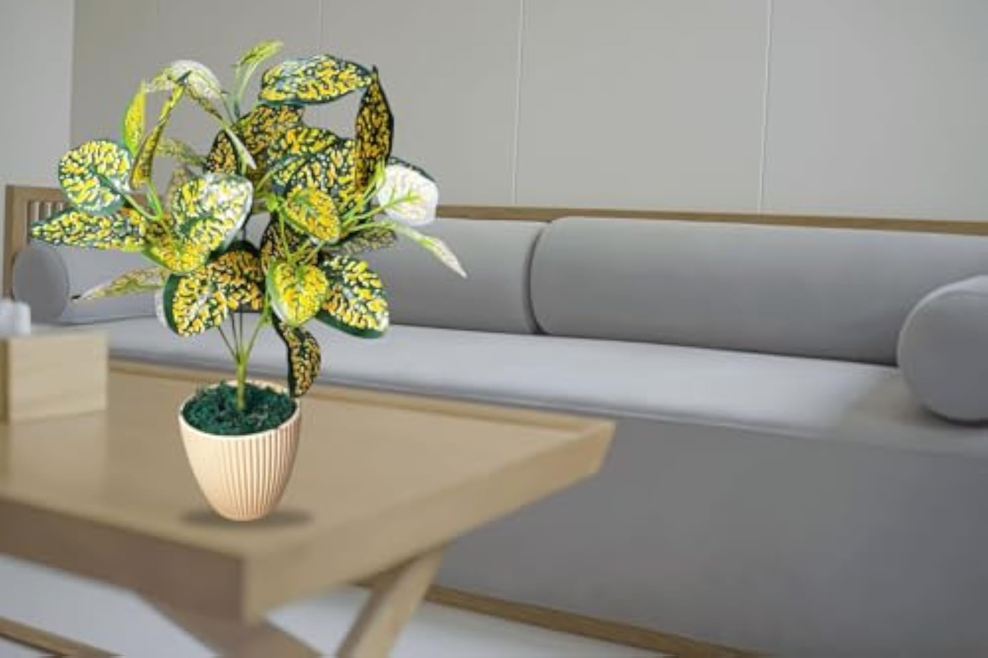 Natural Looking Artificial Money Plant Ornamental Tree
