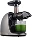 AMZCHEF Slow Juicer Entsafter Gemüse und Obst Profi Entsafter mit Ruhiger Motor & Umkehrfunktion & Saftkanne & Reinigungsbürste（150 Watt/Silber Grau）