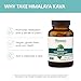 Himalaya Kava, Herbal Supplement for Relaxation and Calm, 30% Kavalactones, Vegan, Gluten Free, 400 mg Kava Root Extract, 60 Capsules