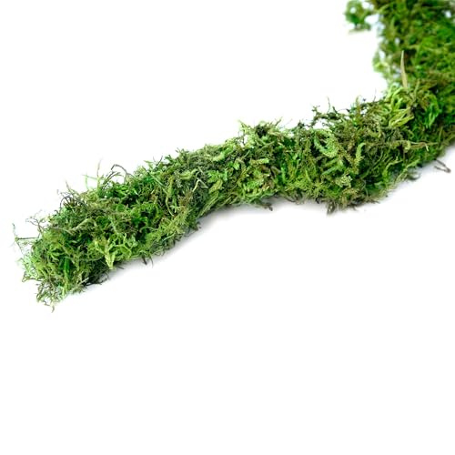 Galápagos (05350) Humid Environment Terrarium Kit – Essential Moss Accessories for Dart Frogs, Iguanas, Chameleons & Reptile Tanks - Thumbnail 7